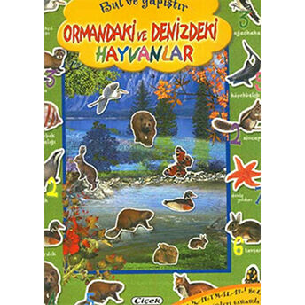 Ormandaki Ve Denizdeki Hayvanlar Kolektif