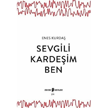 Örnek Insanlar Dizisi (6 Kitap Takım) Enes Kurdaş