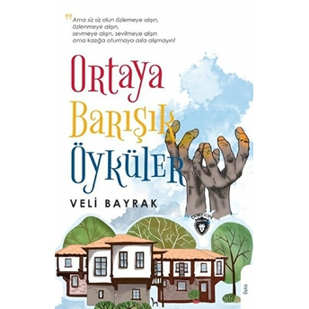 Ortaya Barışık Öyküler Veli Bayrak