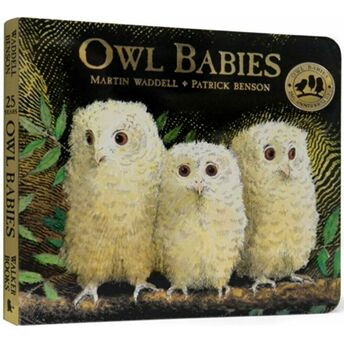 Owl Babies Martin Waddell