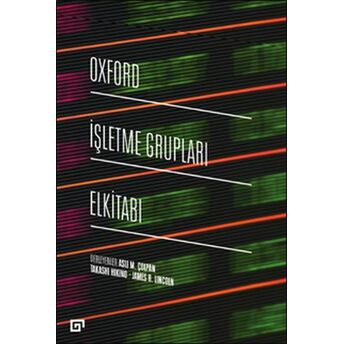 Oxford Işletme Grupları Elkitabı Aslı M. Çolpan, Takashi Hikino, James R. Lincoln