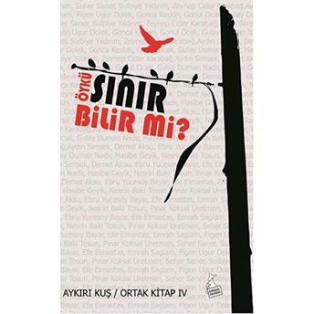 Öykü Sınır Bilir Mi? Kolektif