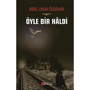 Öyle Bir Haldi - Sibel Unur Özdemir