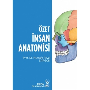 Özet Insan Anatomisi Mustafa Fevzi Sargon