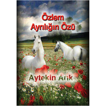 Özlem Ayrılığın Özü