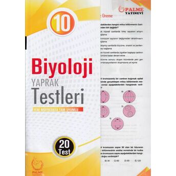 Palme 10. Sınıf Biyoloji Yaprak Test (Yeni) Kolektif