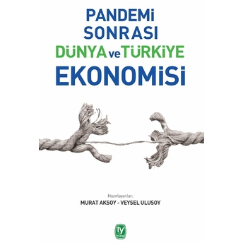 Pandemi Sonrası Dünya Ve Türkiye Ekonomisi