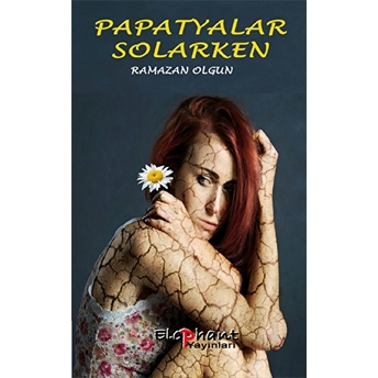 Papatyalar Solarken