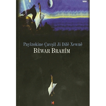 Payizokine Çavşil Ji Dile Xewne Bewar Brahim