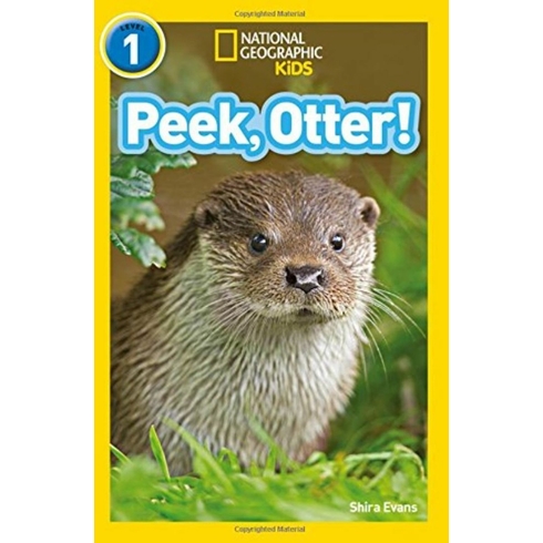 Peek, Otter! (National Geographic Readers 1)