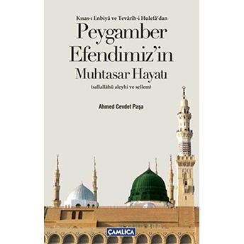 Peygamber Efendimiz'in Muhtasar Hayatı (Sallallahü Aleyhi Ve Sellem) Ahmet Cevdet Paşa