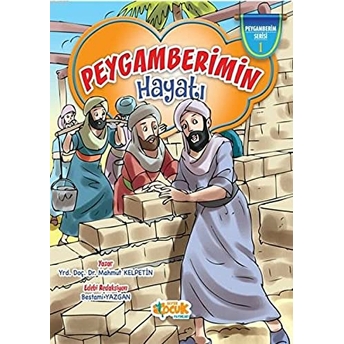 Peygamberimin Hayatı (Ciltli) Mahmut Kelpetin