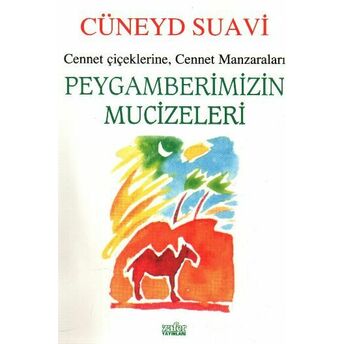 Peygamberimizin Mucizeleri Cüneyd Suavi