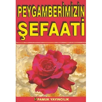 Peygamberimizin Şefaati (Peygamber-008) Kolektif