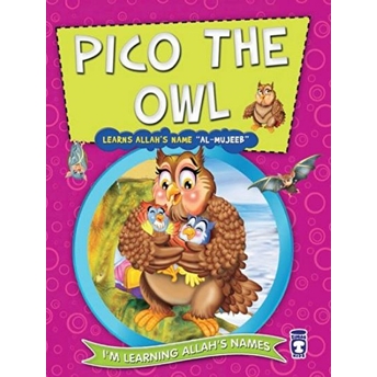 Pico The Owl Learns Allah's Name Al Mujeeb - Nur Kutlu