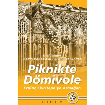 Piknikte Dömivole