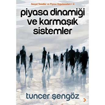 Piyasa Dinamiği Ve Karmaşık Sistemler - Tuncer Şengöz