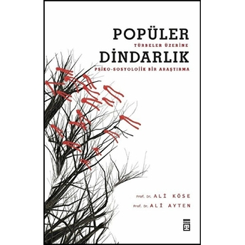 Popüler Dindarlık Ali Köse,Ali Ayten