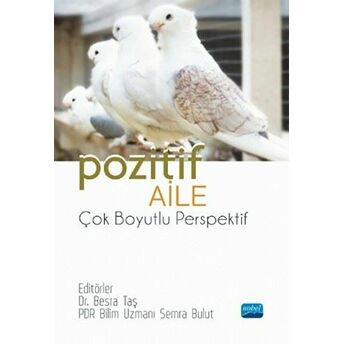 Pozitif Aile - Çok Boyutlu Perspektif - Besra Taş