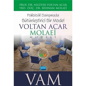 Psikolojik Danışmada Bütünleştirici Bir Model: Voltan Acar-Molaei (Vam) Modeli