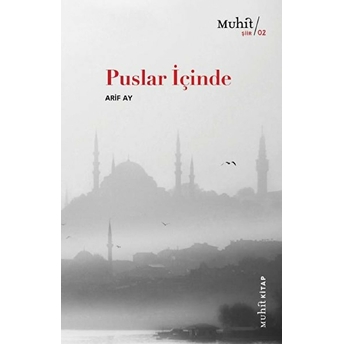 Puslar Içinde Arif Ay