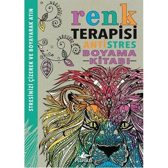 Renk Terapisi / Antistres Boyama Kitabı Hannah Davies