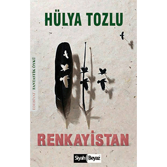 Renkayistan-Hülya Tozlu