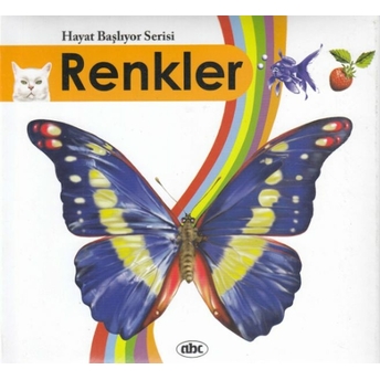 Renkler - Hayat Başlıyor Serisi 2 Kolektıf