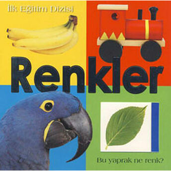 Renkler Kolektif