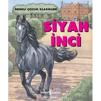 Renkli Çocuk Klasikleri - Siyah Inci Sasha Morton