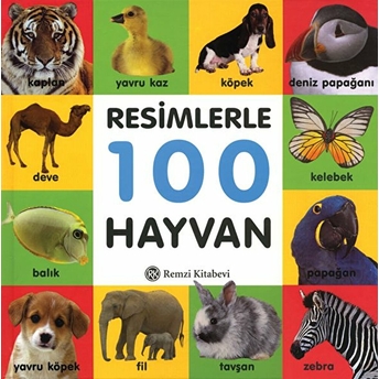 Resimlerle 100 Hayvan Kolektif