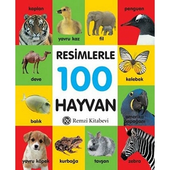 Resimlerle 100 Hayvan (Küçük Boy Ciltli) Kolektif