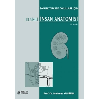 Resimli Insan Anatomisi Mehmet Yıldırım