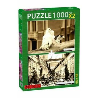 Romantic Pigeons Holland House London Library / 2X1000 Parça Puzzle (40145) Şükrü Çağlayan