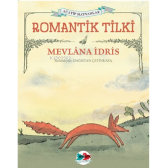 Romantik Tilki Mevlana Idris