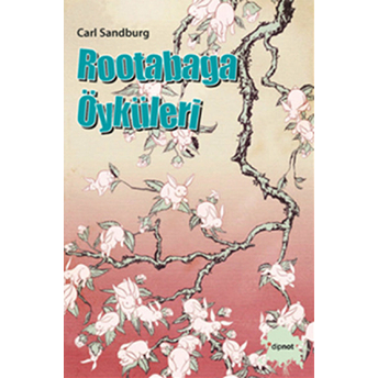 Rootabaga Öyküleri Carl Sandburg