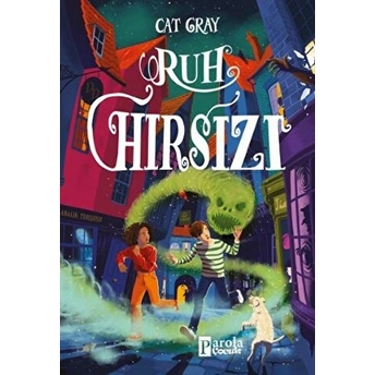 Ruh Hırsızı Cat Gray