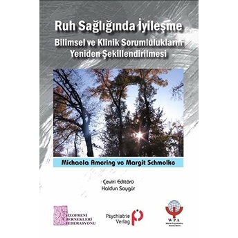 Ruh Sağlığında Iyileşme Bilimsel Ve Klinik Sorumlulukların Yeniden Şekillendirilmesi