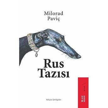 Rus Tazısı Milorad Paviç