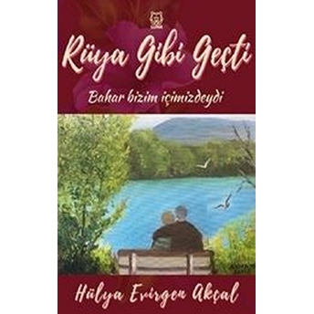 Rüya Gibi Geçti Hülya Evirgen Akçal