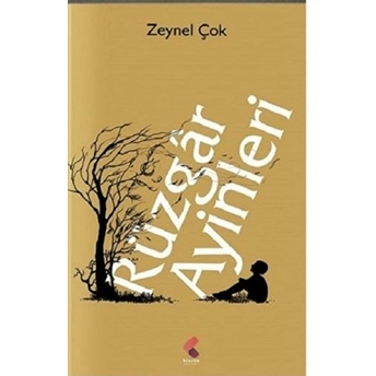 Rüzgar Ayinleri Zeynel Çok