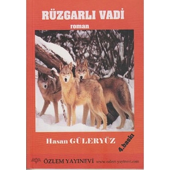 Rüzgarlı Vadi