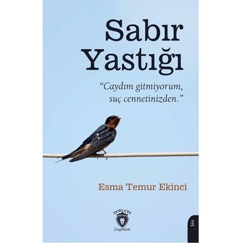 Sabır Yastığı Esma Temur Ekinci