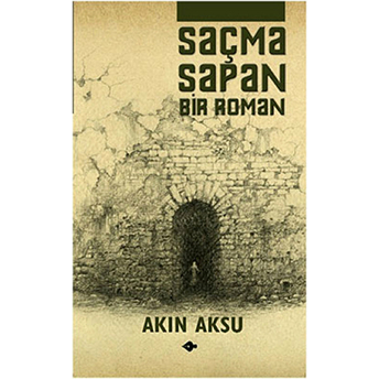 Saçma Sapan Bir Roman Akın Aksu