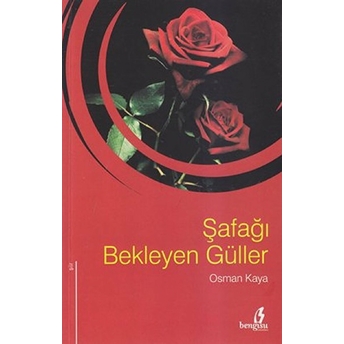 Şafağı Bekleyen Güller Osman Kaya