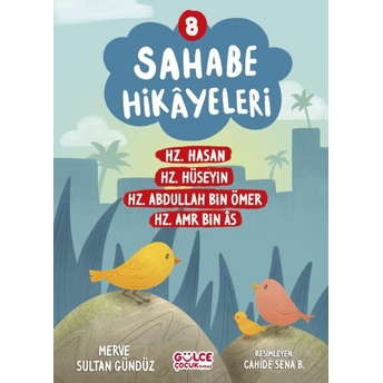 Sahabe Hikayeleri 8. Kitap Merve Sultan Gündüz