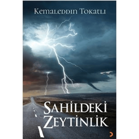 Sahildeki Zeytinlik Kemaleddin Tokatlı