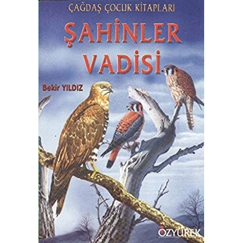 Şahinler Vadisi Bekir Yıldız