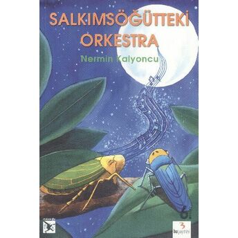 Salkımsöğüt'teki Orkestra Nermin Şenol Kalyoncu