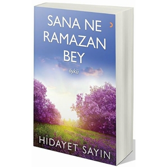 Sana Ne Ramazan Bey - Hidayet Sayın